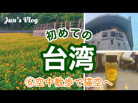 【台湾Vlog】初めての台湾⑥空中散歩で猫空へ