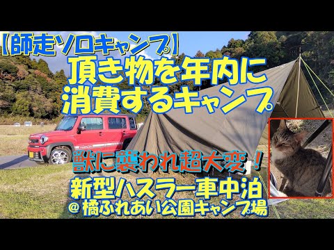 【師走ソロ】頂き物を年内に消費するキャンプ 獣に襲われ超大変！新型ハスラー車中泊@橘ふれあい公園キャンプ場