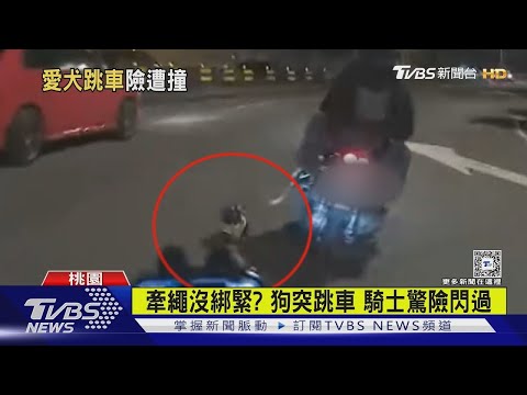 嚇! 黑狗突跳下機車 後方騎士差點追撞｜TVBS新聞