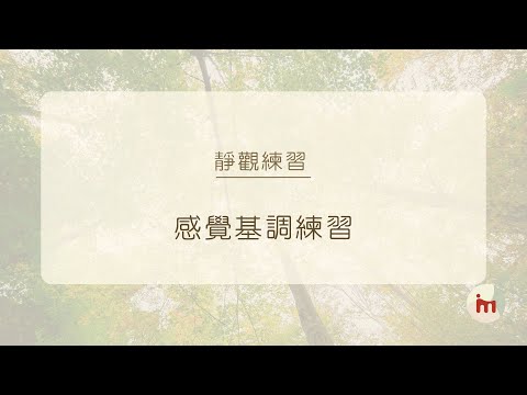 【Dr Cindy 聲音導航】靜觀練習 - 感覺基調練習