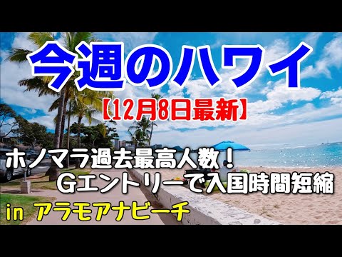 【今週のハワイ★１２月８日最新版】１週間のハワイ情報をまとめてお届け♪これを見ればハワイの今がわかる！！