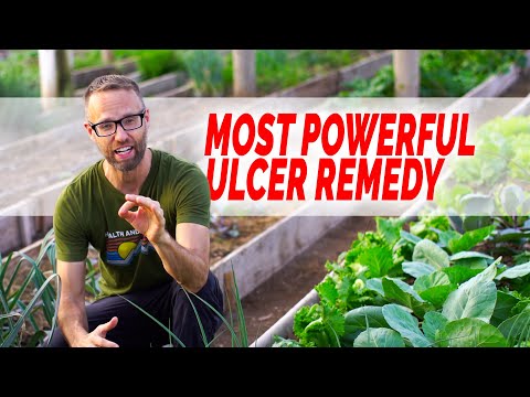 The Fastest, Most Powerful Ulcer Remedy - Drug Free