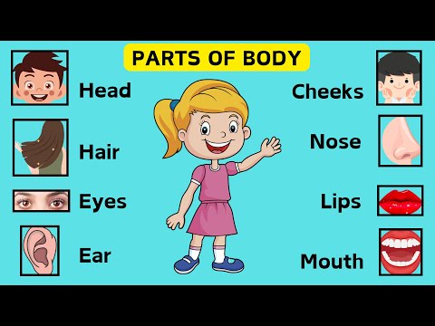 Parts of body | body parts name in english | Improve Your Vocabulary |  learn english