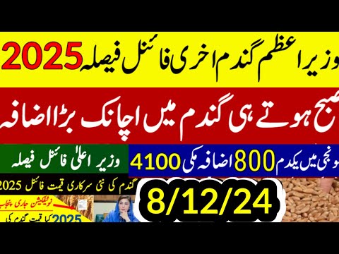 Wheat  support price 2025 گندم کے نئی سرکاری قیمت فائنلmunji kaynat 1121rate 2024/munji1509 new rate