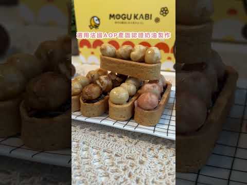 水豚店長來推薦啦🤩！台南必買伴手禮～｜MOGU KABI｜水豚甜點店｜水果塔｜夏威夷豆塔