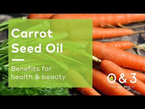 Carrot Seed Oil for skin and hair