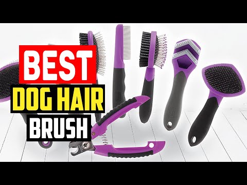 ✅5 Best Dog Hair Brush of 2023