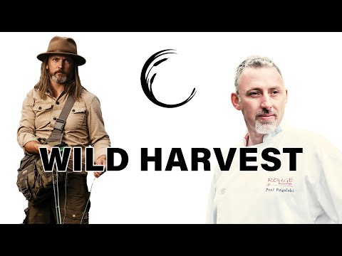 Silvercore Podcast Ep. 51: Wild Harvest and From the Wild