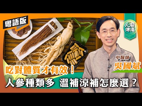 【醫道心傳(粵)】人參好處多！百百種哪種最適合你？顏色怎麼選才對？加工法影響藥性？各部位效果不同？| 高麗參 人參 紅參 石柱參 | #醫道心傳(粵) #吳國斌 #綠色東方