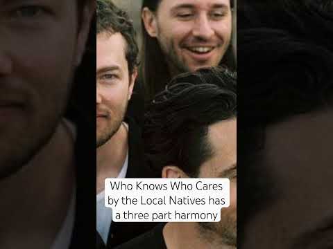 See episode 61 for more on #localnatives #music #indie #alternative #whoknows #whocares #shorts