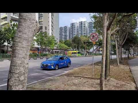 Beautiful sunny weekday mid-morning walk in Punggol, Singapore