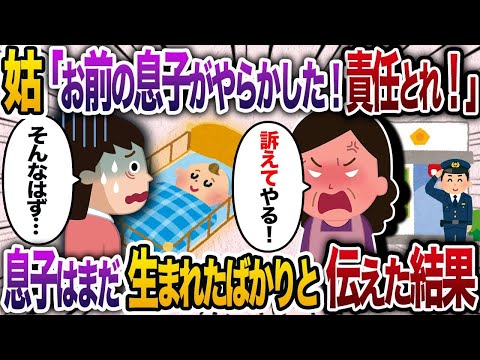 【2chスカッと人気動画まとめ】姑「お前の息子がやらかした！責任とれ！」→息子はまだ生まれたばかりだと伝えた結果【2chスカッと・ゆっくり解説】【作業用】【総集編】