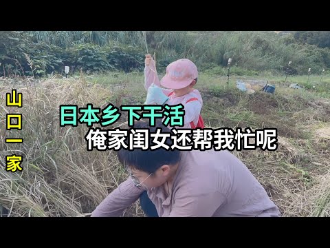 我嫁到日本農村收水稻，藍天白雲下揮灑汗水，喜娜的笑聲就是幸福