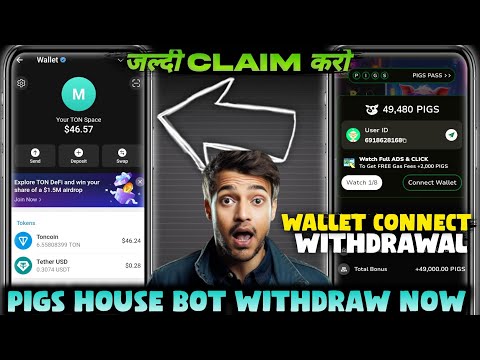 Pigs House Airdrop Important Update | Pigs House Coin Withdrawal | Pigs House Airdrop Listing Date