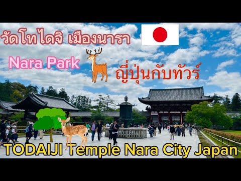 วัดโทไดจิ เมืองนารา Todaiji Temple Nara city Japan พฤษภา ใบไม้ผลิ ญี่ปุ่นกับทัวร์ May-2024