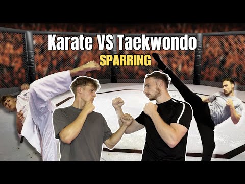 Karate vs Taekwondo SPARRING CHALLENGE