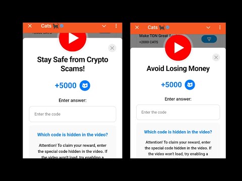 Stay Safe from Crypto Scams! Cats | Avoid Losing Money | 25-26 December Cats All Video Codes Today