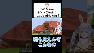 【兎田ぺこら/切り抜き】コメントで「チン〇」と言われたマイクラのぺこら城ｗｗｗ【ホロライブ】