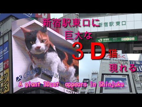 3D cat in Shinjuku Tokyo Japan 新宿駅に巨大な３D猫あらわれる！A giant 3Dcat appears in Shinjuku Tokyo