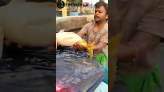 many fish injection in Tank #shorts #fishinfo #fishfarming #hatchery #fish #gangahatchery