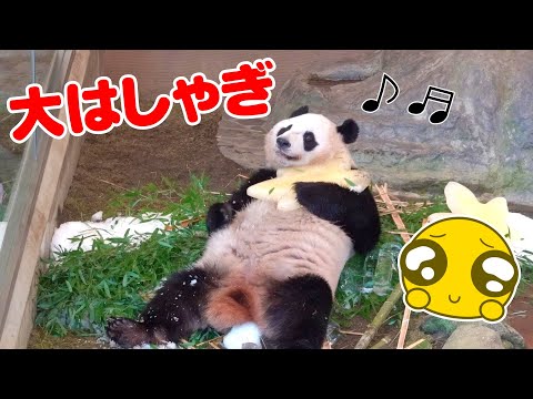 【神回✨】待望のこのシーン😍氷スリスリ🧊パンダふうひん嬉しすぎてHを破壊😂😂😂