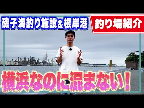 【磯子海釣り施設/根岸港】横浜市内の“混まない釣り場”でゆっくりアジ釣り 混雑ストレスゼロ！