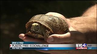 Zoo 4 You: Plastic Free EcoChallenge