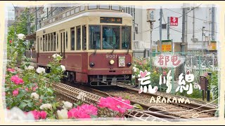 🇯🇵東京Vlog |  荒川線一日遊、東京僅存的路面電車🚋、滿滿的玫瑰🌹、巢鴨商店街、蔥to鴨姊妹店🍜、大塚玫瑰 |東京生活 | 東京春日散步|