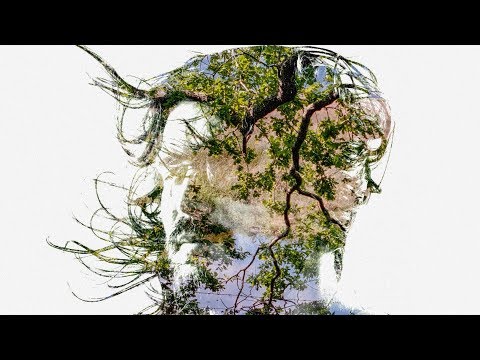 Bibio - Old Graffiti (Official Audio)