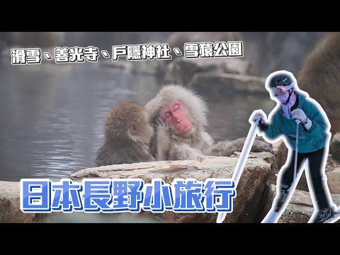 2024長野小旅行｜滑雪｜善光寺｜野猿公園｜長野縣｜