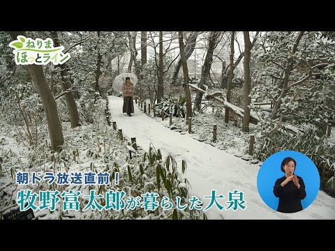 ねりまほっとライン（朝ドラ放送直前！牧野博士の愛したまち大泉）令和５年３月前半号