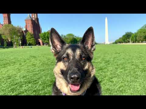 Kara’s visit to our nation’s capital- Washington DC 2023