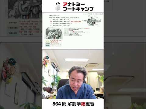 【 #国試1分道場 ・消化器系】膵臓について誤っている記述はどれか　１．膵管は十二指腸に開口する　２．膵臓全体が腹膜に覆われる　３．外分泌部は消化酵素を分泌する　４．膵島はホルモンを分泌する