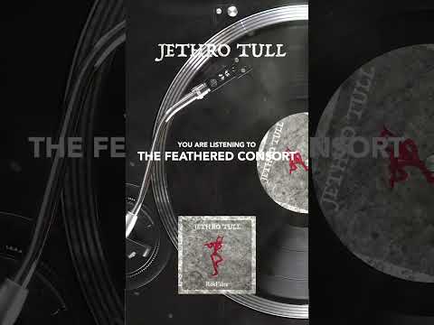 Jethro Tull – The Feathered Consort #shorts #rokflote #jethrotull