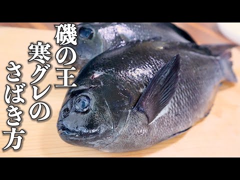 磯釣りの王者「寒グレ(メジナ)」の捌き方と刺身の作り方