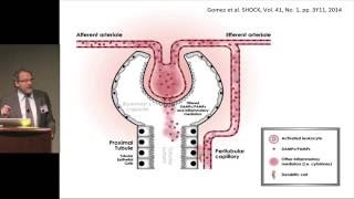 Acute Kidney Injury and AKI Biomarkers in the ICU - John Kellum, MD