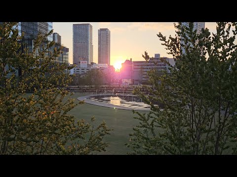 Osaka Station under the evening sun and the newly opened GRAND GREEN OSAKA Umekita Park next to it