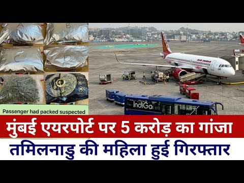 मुंबई एयरपोर्ट पर 5 करोड़ का गांजा बरामद|Sabina नामक महिला गिरफ्तार|Mumbai airport News|SNI