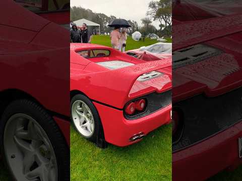 Wet Ferrari Day #ferrari #ferrarif50 #carsofyoutube #supercars #classiccars #shorts #amazingcars