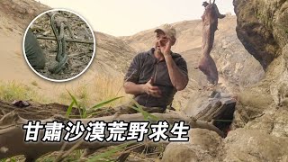 甘肅阿克塞沙漠荒野求生，捕獲一隻野白兔，提煉香蒲澱粉製作餡餅，吃著泥鰍刺生，高原沼澤炭烤青蛙！紀錄片