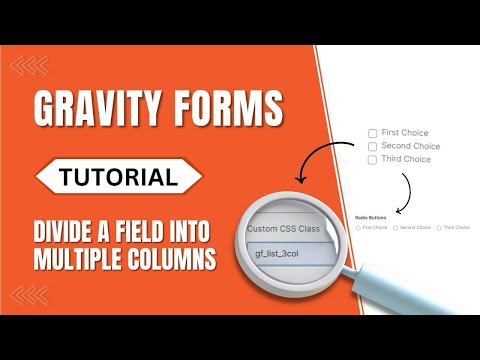 How To Divide A Field Into Multiple Columns? [Gravity Forms Tutorial]