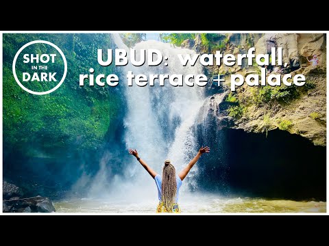 Best things to do in Bali: Ubud - waterfall, rice terrace, Ubud Palace &  Saraswati Temple