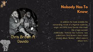 Chris Brown - Nobody Has To Know ft. Davido