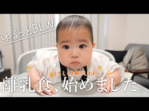 【生後6ヶ月】離乳食、始めました。｜ゆるっとBLW