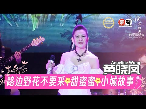 Angeline黄晓凤《路边野花不要採 + 甜蜜蜜＋小城故事》【情牵经典-慈爱演唱会】(Live) Official Music Video