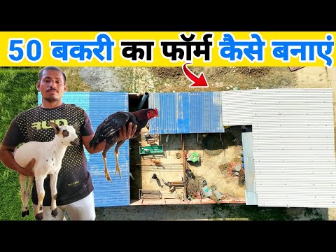 कम खर्चे में 50 बकरी का फॉर्म कैसे बनाएं | Low cost goat farm shed design