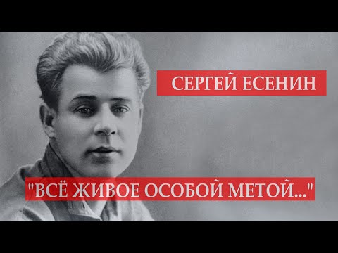 Сергей Есенин - "Все живое особой метой..." Читает Леонид Юдин