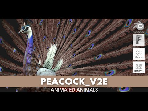 Peacock V2E