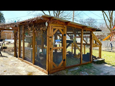 Spring Is Here ~ The Chicken Coop Is All Opened UP ~ Part 3 ~ With Twin Cities Adventures !