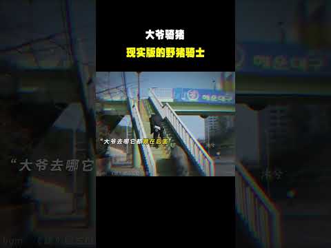 “我嘞个现实版的野猪骑士呀”#名场面 #离谱操作 #杂谈